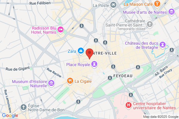 Cafe De L Ecureuil