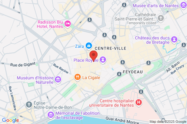Cafe Des Antilles