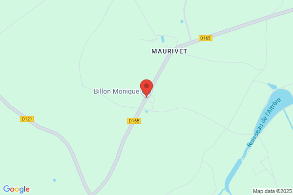 Billon Monique
