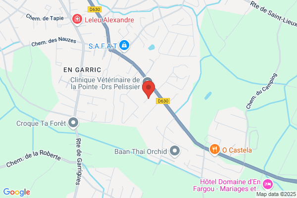 Darasse Catherine