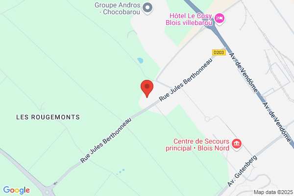 PROLIANS MARTIN HEULIN Blois Saint-Sulpice