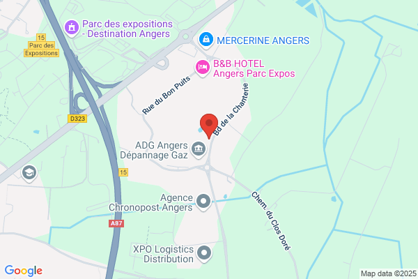 Cadeia Cooperative Agricole Departement Insemination Artific