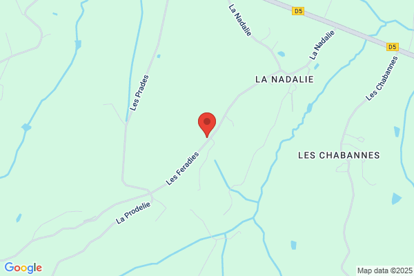 Darfeuille Raymond