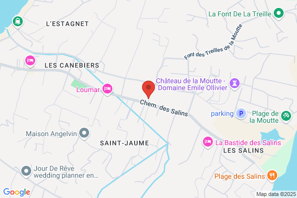 Hotel Le Levant