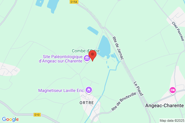 Depot De Fouille Archeologique