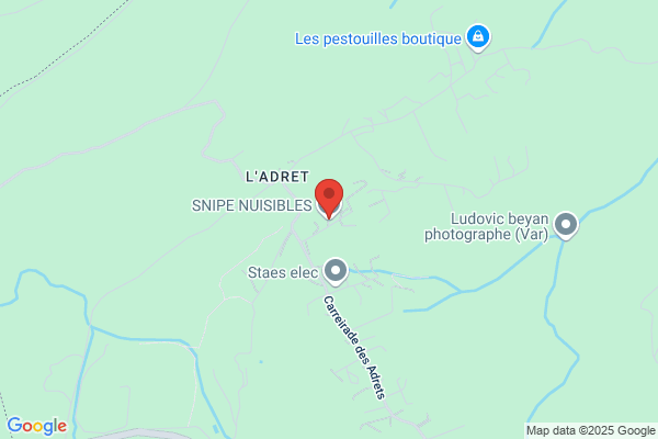 Snipe nuisibles