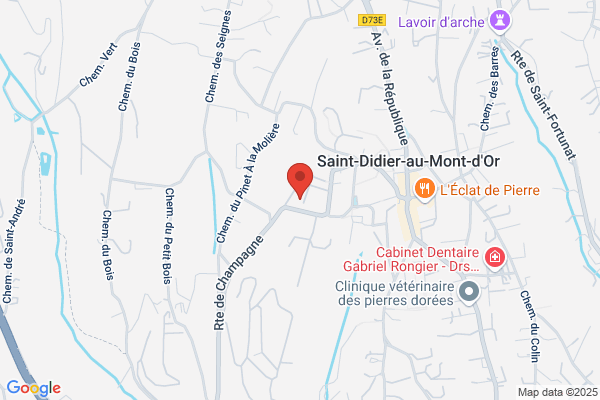 Alpha Conseil