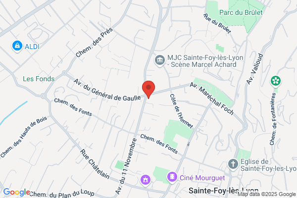 Agence Immobiliere De L Ouest Lyonnais