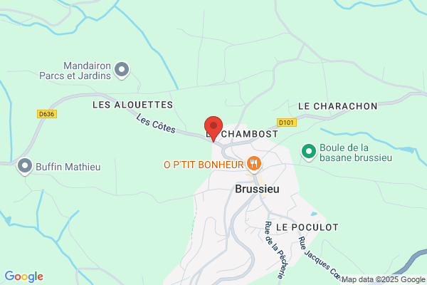 Chevaux Brigitte
