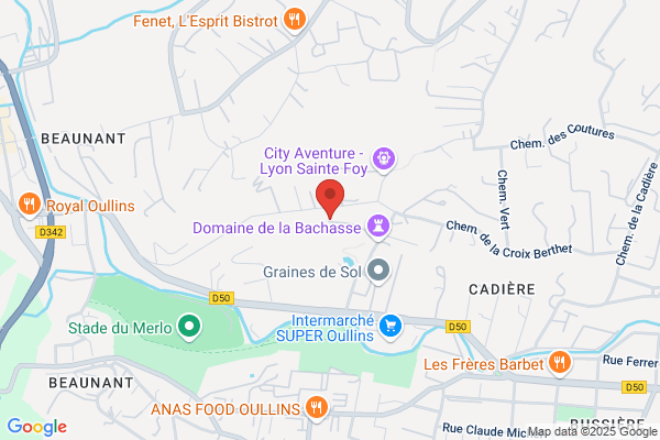 Chateau De La Bachasse Comite D Etablissement sncf Centre De Loi