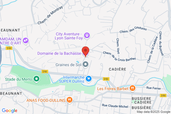 Chateau De La Bachasse Comite D Etablissement sncf salle De musc