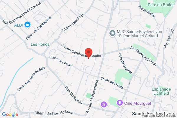 Clinique Veterinaire