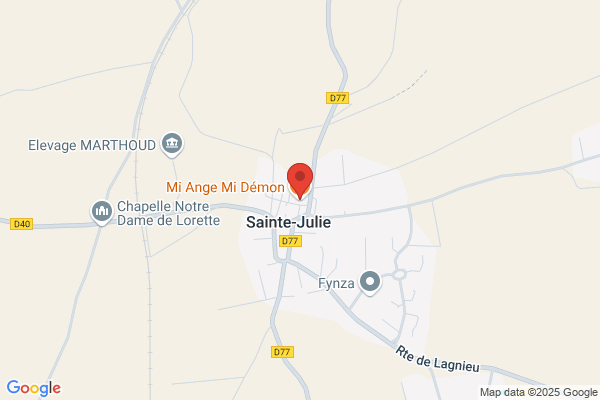 Mi Ange Mi Démon