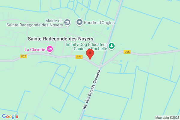MECANIQUE EXPERTISES