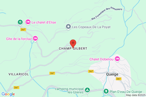 Cau Gilbert