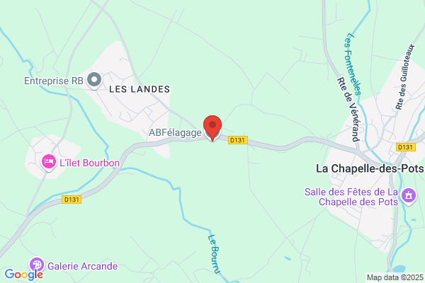 Agathis elagage(tailles d'arbres charente-maritime)/elagage Pons/elagage saintes