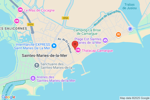 Alengrin Jean Pierre Et Vo Dinh Medecins
