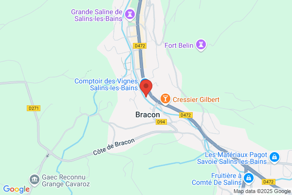 Agence immobilière Laforêt Salins-Les-Bains