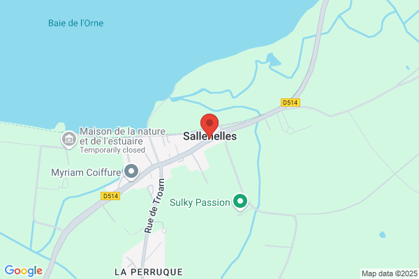 Ardillon Daniel