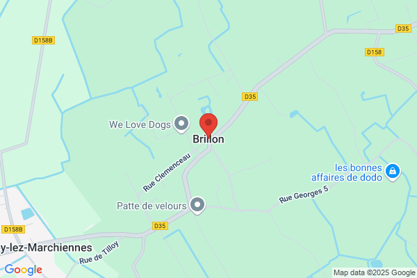 Brillon Fabrice