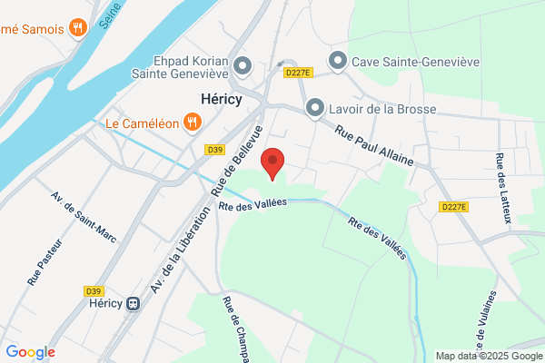 Bellecourt Sylvie