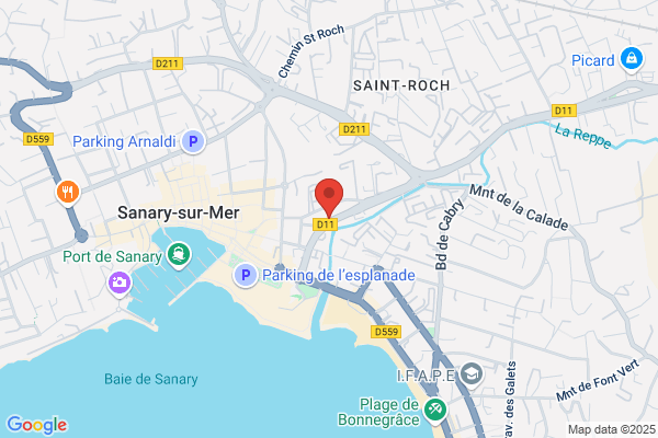 Rapid Pare-Brise SANARY