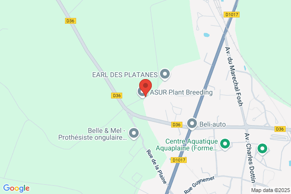Agf Dujardin Deleplanque Agts