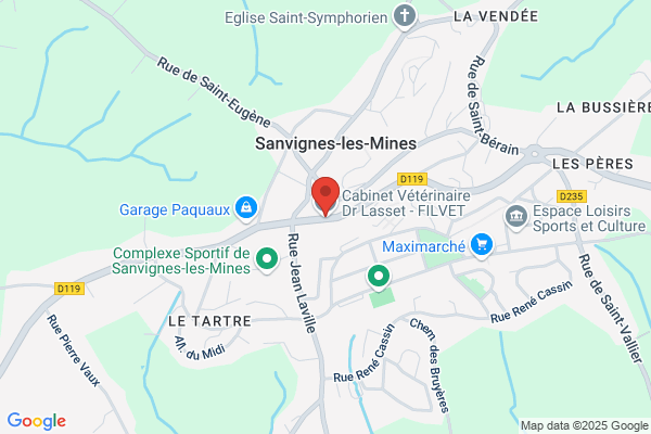 Clinique Veterinaire Lasset Francois