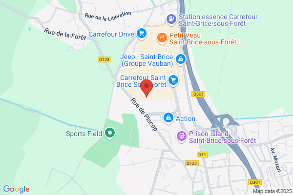 Orchestra SAINT BRICE SOUS FORET