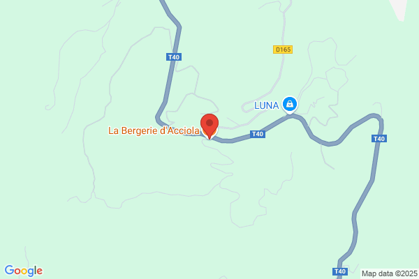 BERGERIE D'ACCIOLA