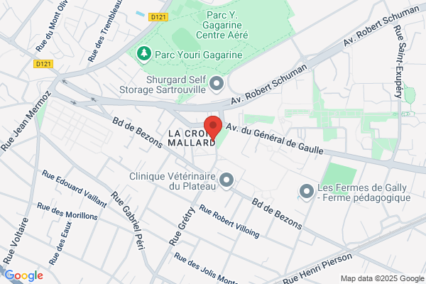 MyDriver France