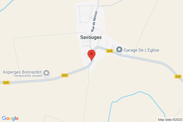 RMVS audit&concept