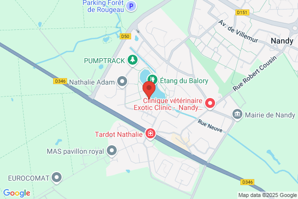 Auto Paris Export