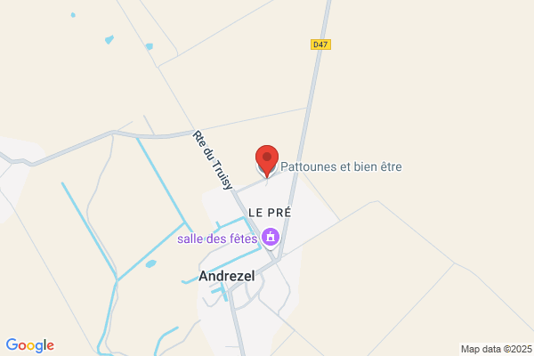 Aux Petites Patounes