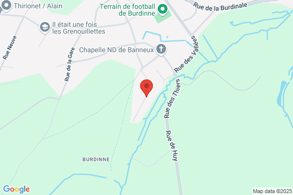 Burdin Alain Prothes Dentair