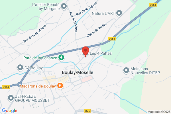 Aux Quat Pattes Qui Moussent