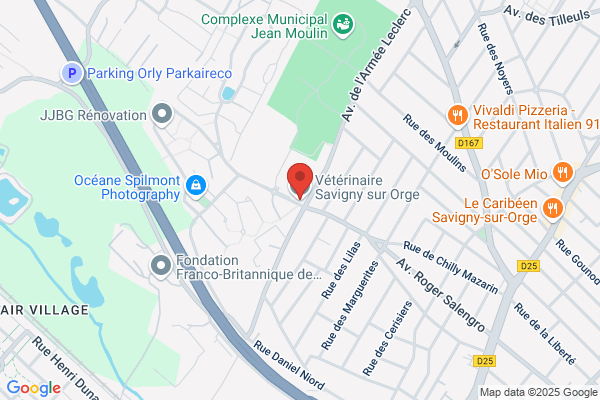 Clinique Veterinaire