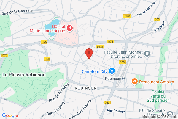 Agence Immobiliere Pont Royal