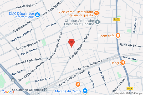 Institut AL LISSANE