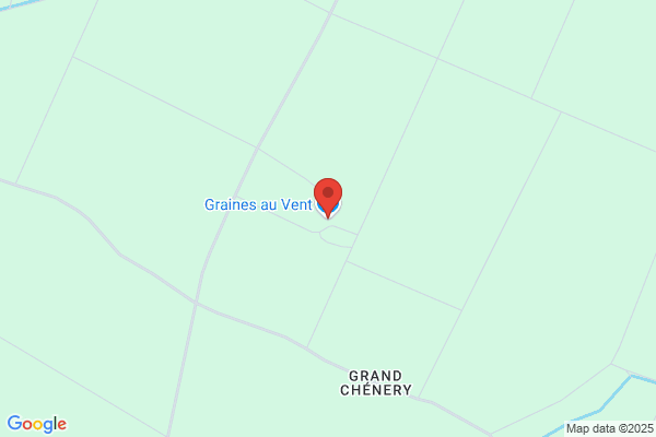 Graines au Vent