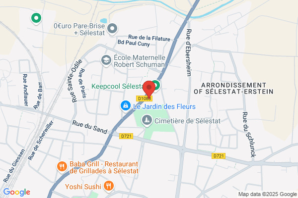 Domino's Pizza Sélestat