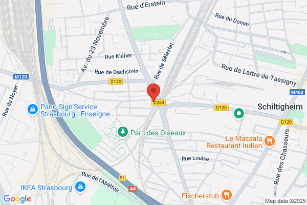 Jarvis Dereck Jure Biomed Fran Allem En Angl
