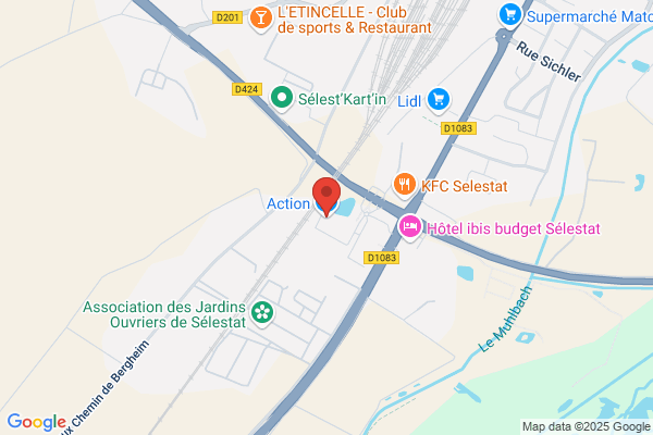 Action Selestat