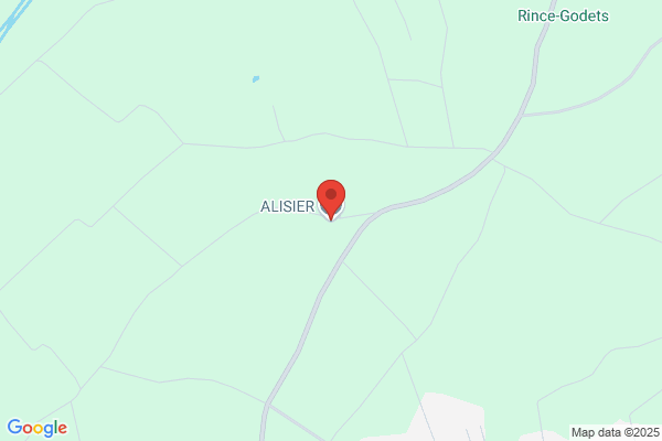 ALISIER