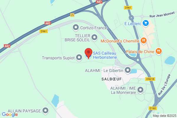 Cailleau Yves
