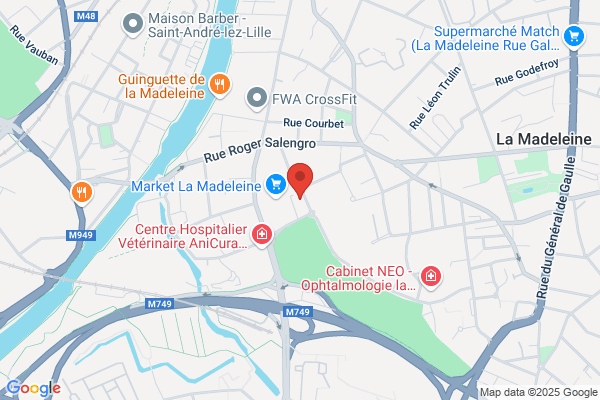 Desanti Marie France