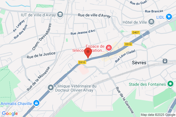Domino's Pizza Sèvres
