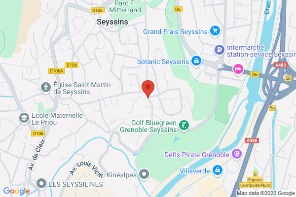 Bozon Joel