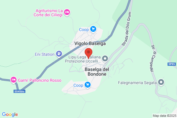 Cimadomo Dominique
