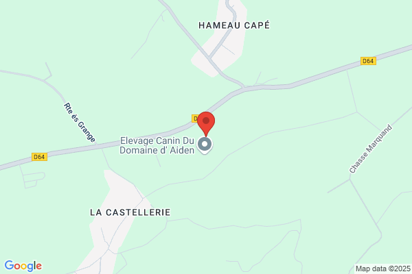 Elevage canin "Le domaine d'Aiden"